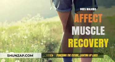 Stride to Recovery: How Walking Impacts Muscle Healing