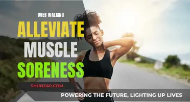 Walking: An Effective Remedy for Muscle Soreness?