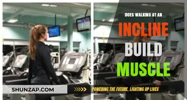 Incline Walking: A Surprising Way to Build Muscle and Boost Fitness