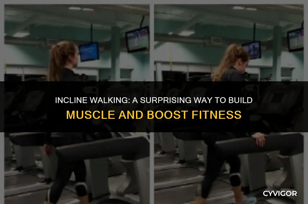 does walking at an incline build muscle