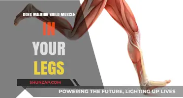 Unveiling the Truth: Can Walking Really Build Muscle in Your Legs?