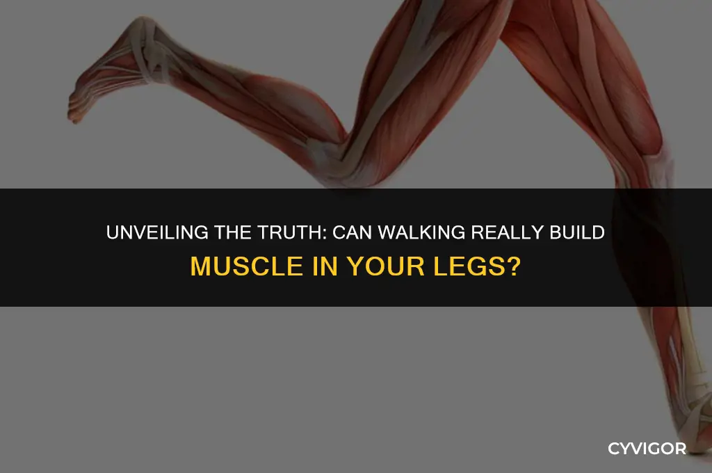 does walking build muscle in your legs