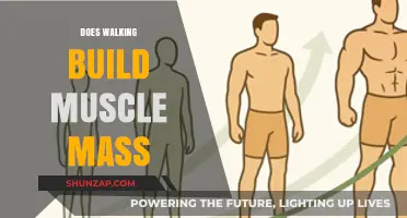 Does Walking Build Muscle Mass? Unveiling the Surprising Truth