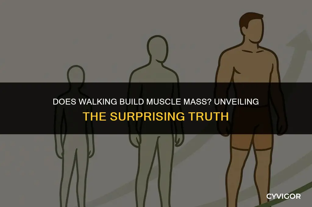 does walking build muscle mass