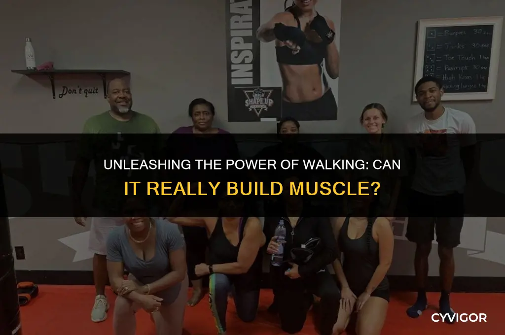 does walking build muscles