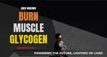 Walking's Impact on Muscle Glycogen: What You Need to Know