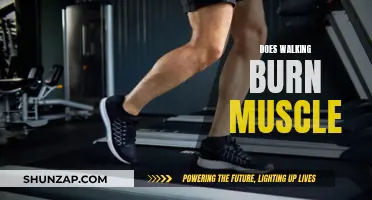 Walking and Muscle: Friend or Foe?