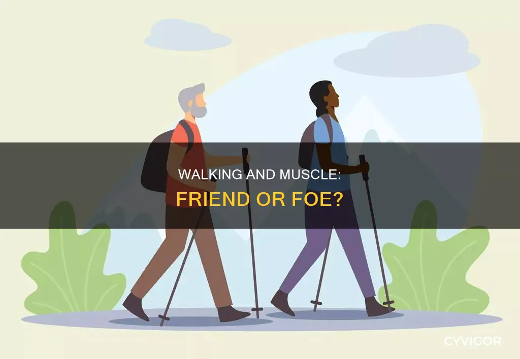 does walking burn muscle