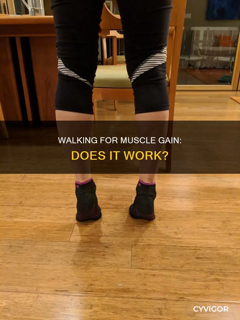 does walking cause muscle gain