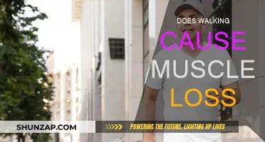 Walking and Muscle Loss: What's the Truth?