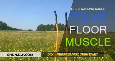 Walking and Pelvic Floor Muscles: What's the Connection?