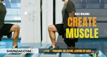 Walking Builds Muscle: Fact or Fiction?