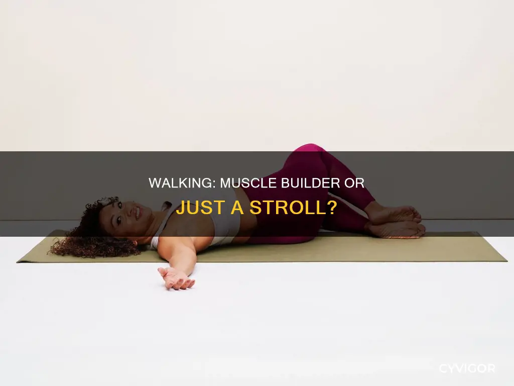 does walking give you muscles
