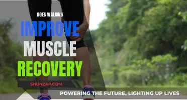 Walking: A Muscle Recovery Superpower?