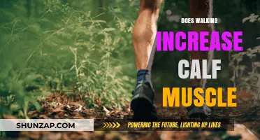 Strolling to Strength: How Walking Impacts Your Calf Muscles