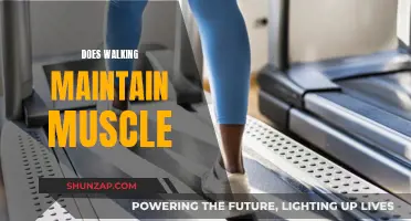 Walking's Impact on Muscle: Retention or Regression?