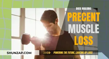 Walking: Preventing Muscle Loss and Promoting Healthy Aging