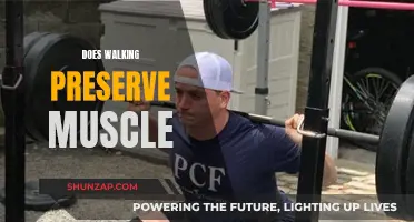 Walking's Muscle-Preserving Benefits: What Science Says