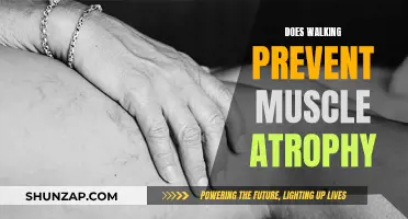 Walking's Impact: Preventing Muscle Atrophy and Promoting Health