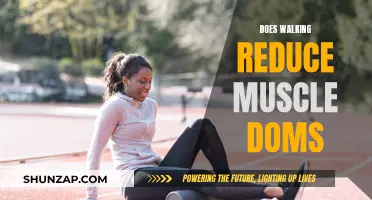 Walking: An Effective Strategy to Reduce Muscle Soreness?