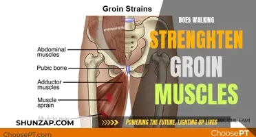 Walking: A Simple Way to Strengthen Groin Muscles