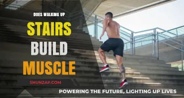 Elevate Your Fitness: Stair Climbing for Muscle Building