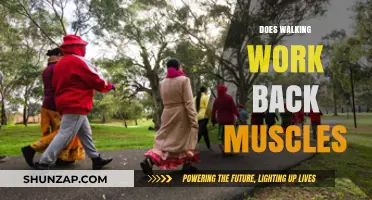 Walking for Back Strength: Does It Really Work Your Muscles?