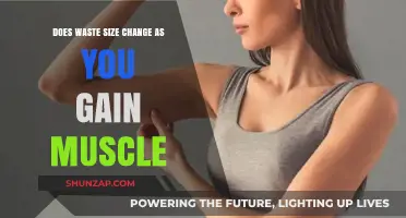 Muscle Gain Impact: Does Your Waste Size Change with Growth?