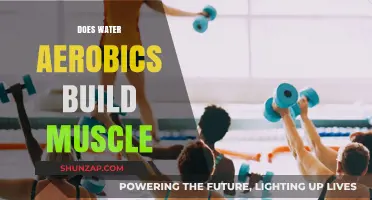 Sculpt and Strengthen: The Muscle-Building Benefits of Water Aerobics
