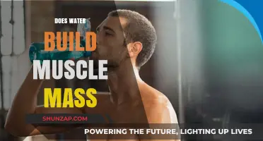 Hydration and Hypertrophy: The Truth About Water's Role in Muscle Building