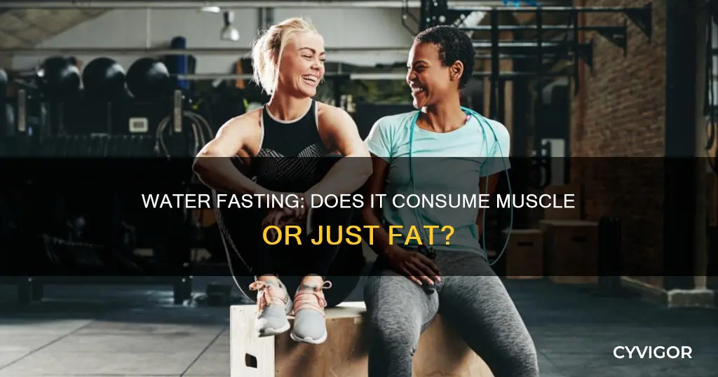 does water fasting deplete muscle