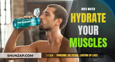 Hydration and Muscles: Water's Role in Muscle Performance