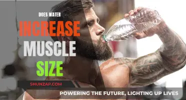 Hydration for Muscle Growth: Does Water Increase Muscle Size?