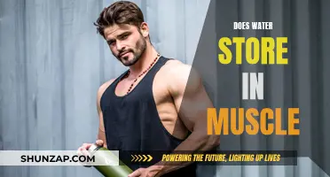 Muscle Water Storage: How Much and Why?