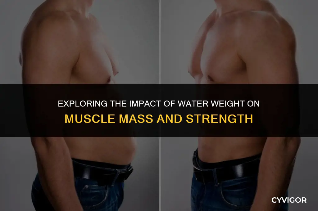 does water weight affect muscle