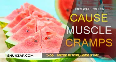 Watermelon and Muscle Cramps: Friend or Foe?