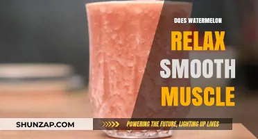 Watermelon's Surprising Effect on Smooth Muscle Relaxation: What You Need to Know