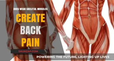 Weak Skeletal Muscles: A Hidden Cause of Chronic Back Pain?