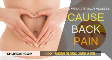 Weak Stomach Muscles: The Surprising Cause of Your Back Pain