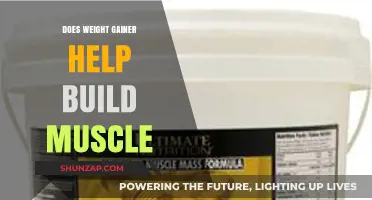 Does Weight Gainer Help Build Muscle? Facts and Myths Explained