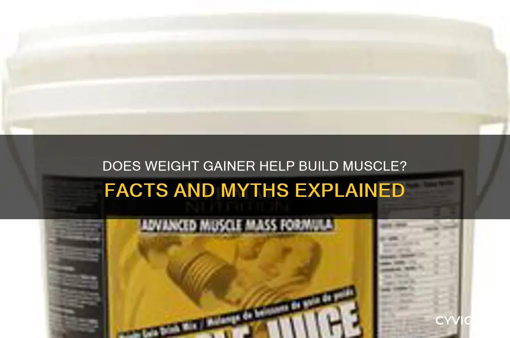 does weight gainer help build muscle