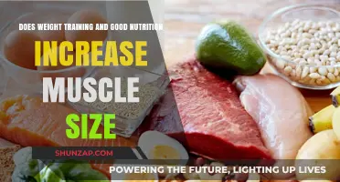 Weight Training and Nutrition: The Key to Muscle Growth?