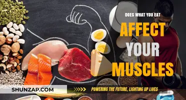 Fuel Your Fitness: The Impact of Diet on Muscle Health
