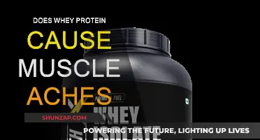 Whey Protein and Muscle Aches: What's the Link?