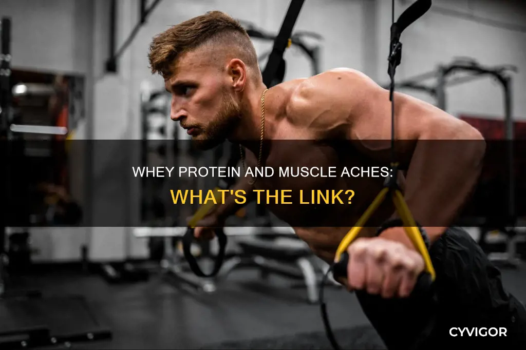does whey protein cause muscle aches