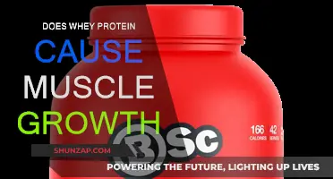 Whey Protein and Muscle Growth: What's the Link?