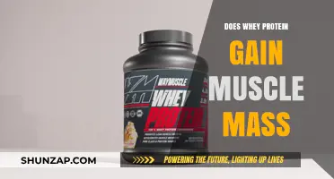 Whey Protein for Muscle Mass: Fact or Fiction?