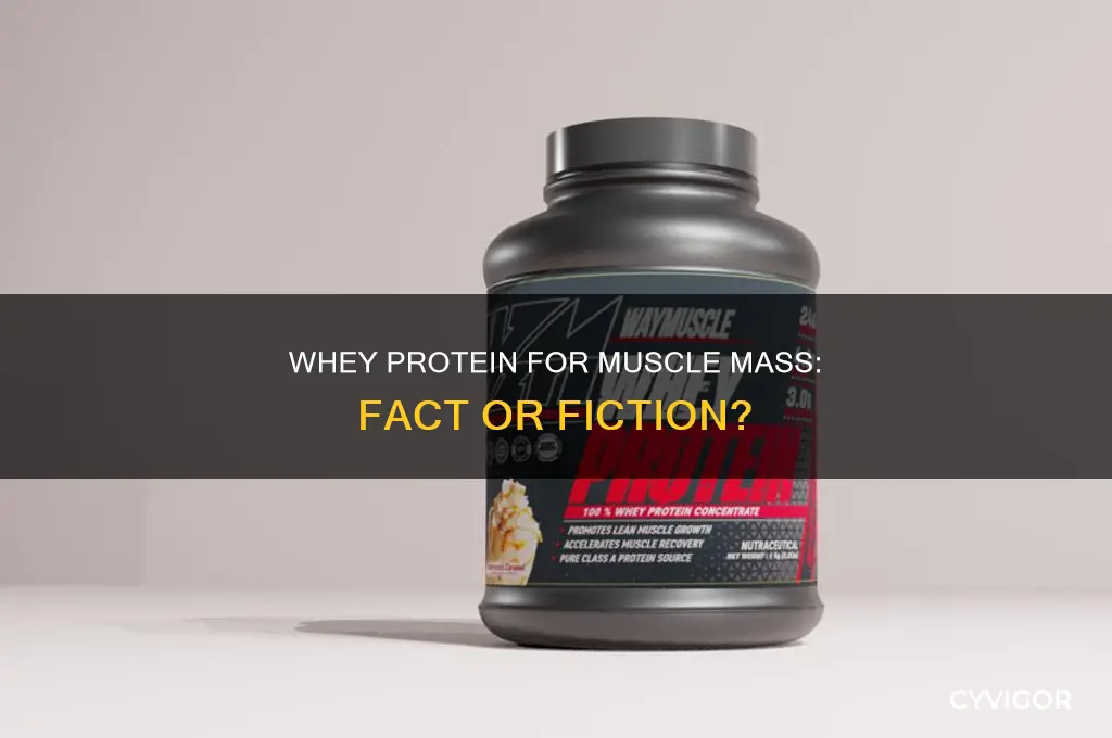does whey protein gain muscle mass