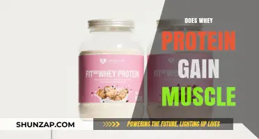 Whey Protein for Muscle Gain: Fact or Fiction?