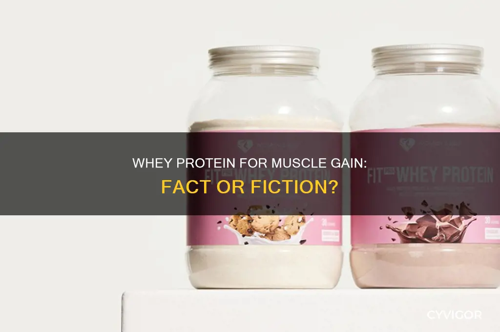 does whey protein gain muscle